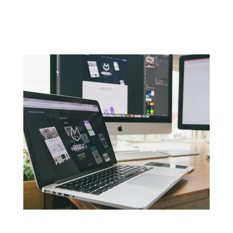 website design for beginners